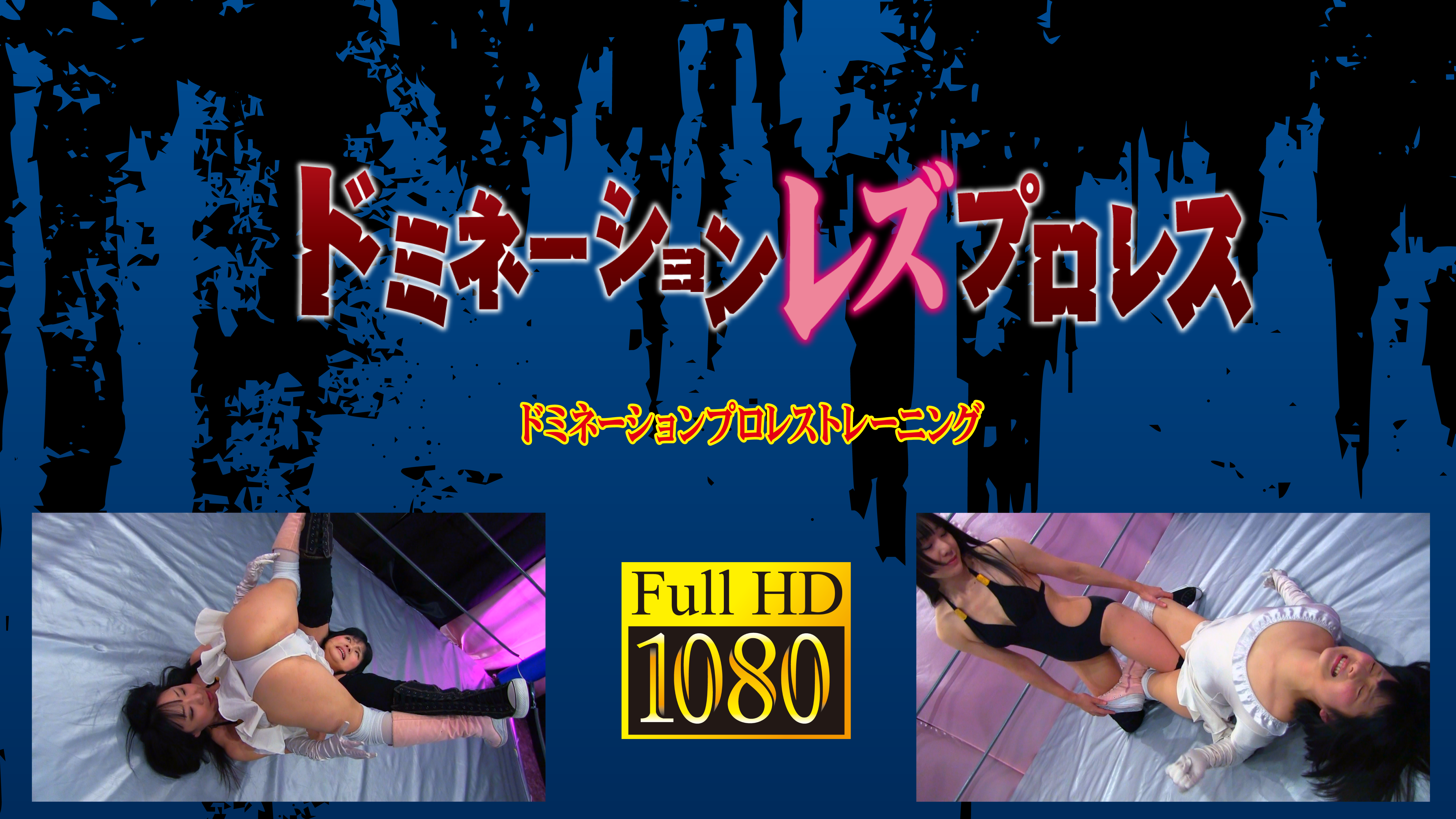 /shop2/uploads/DL-03/movie.png